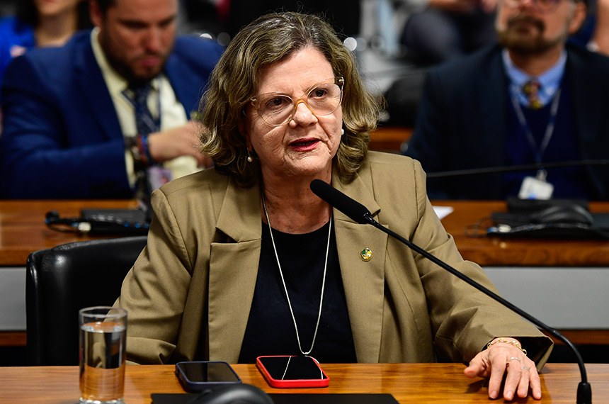 Senadora Teresa Leitão (PT-PE) em pronunciamento à bancada.