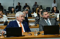 Regras para integrantes de Conselhos da Criança e do Adolescente vão à CCJ