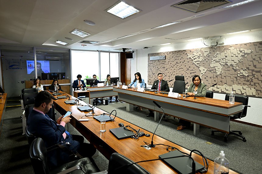 Mesa:
coordenadora do Observatório da Mulher contra a Violência do Senado Federal, Maria Teresa Firmino Prado Mauro;
coordenador geral do Conselho Gestor do Sistema Nacional de Informações de Segurança Pública (Sinesp), do Ministério da Justiça e Segurança Pública, Rafael Rodrigues de Sousa; 
deputada distrital Doutora Jane (Republicanos-DF).