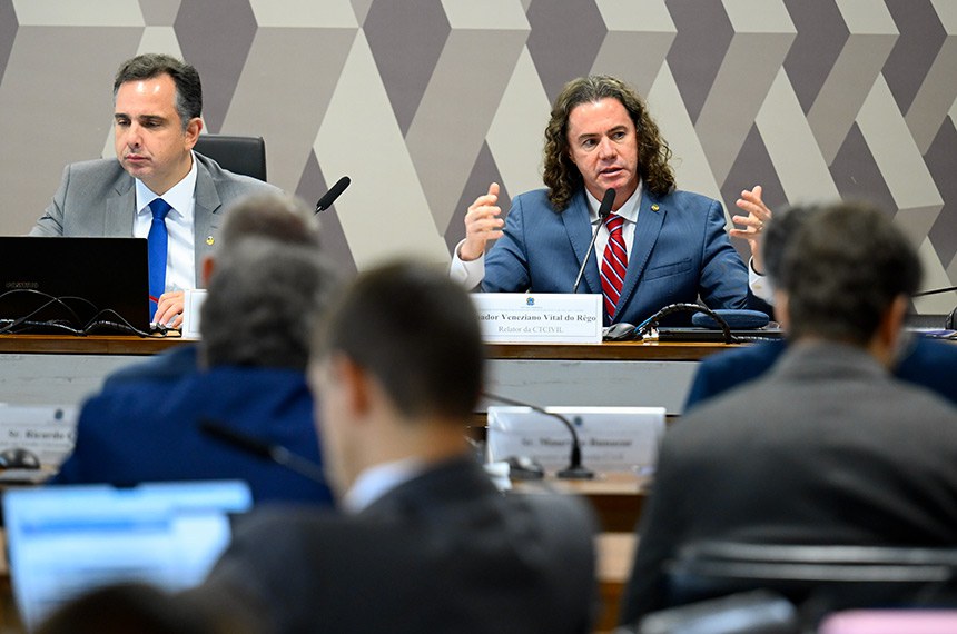 Via videoconferência:
professor da Faculdade de Direito da Universidade Estadual do Rio de Janeiro (UERJ), Carlos Affonso de Souza; 
advogado e presidente da Academia Mineira de Letras Jurídicas (AMLJ), José Anchieta da Silva.