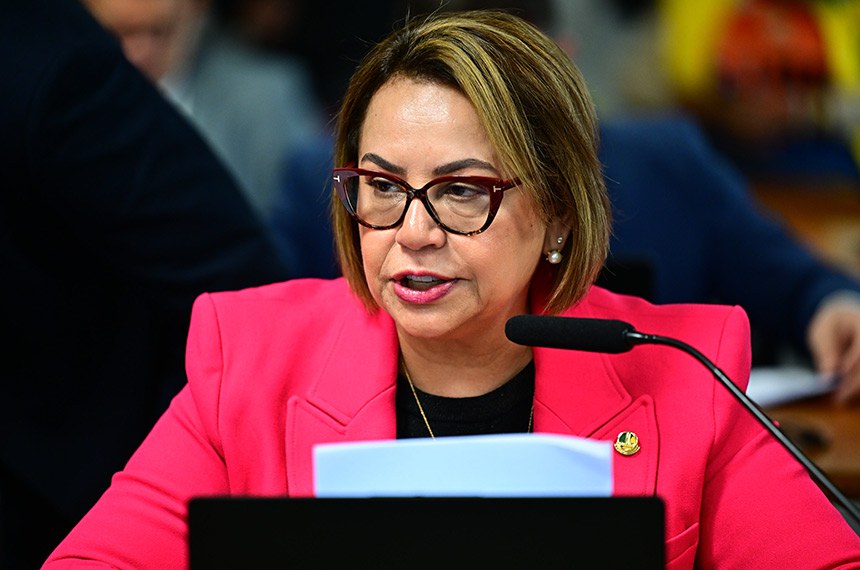 Em pronunciamento, à bancada, senadora Jussara Lima (PSD-PI).