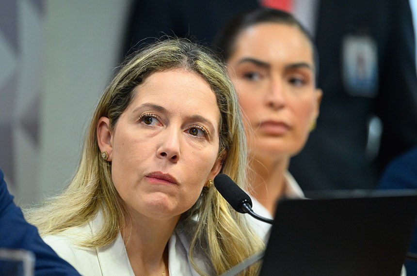 Empresária da THJ Consultoria Ltda, Thaisa Hoffmann Jonasson em pronunciamento à mesa.