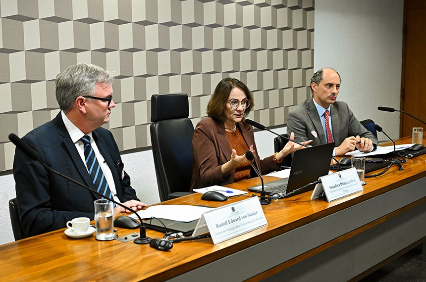 Mesa: 
doutor em Teologia pela Universidade de Basiléia, Rudolf Eduard von Sinner;
presidente eventual da CE, senadora Damares Alves (Republicanos-DF);
doutor em Direito do Estado pela Pontifícia Universidade Católica de São Paulo (PUC-SP) e representante da Igreja Universal do Reino de Deus (Iurd), Renato Gugliano Herani.