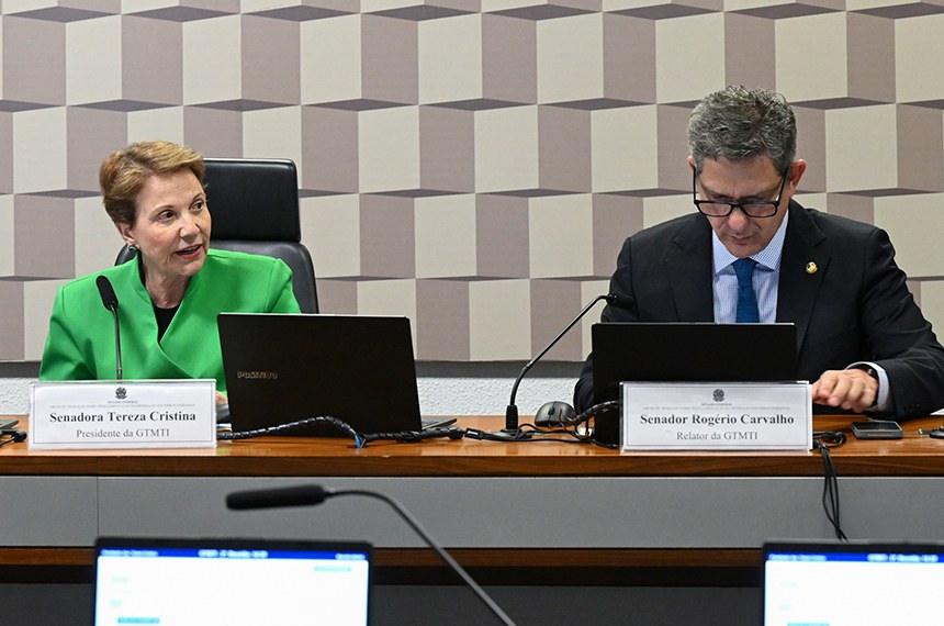 Mesa: 
presidente do GTMTI, senadora Tereza Cristina (PP-MS); 
relator do GTMTI, senador Rogério Carvalho (PT-SE).