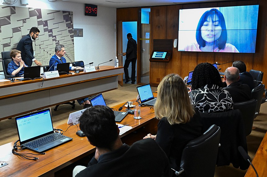 Bancada: 
diretor-geral da Agência Nacional de Minerção (ANM), Mauro Henrique Moreira Sousa; 
general do Exército e vice-presidente do Instituto Brasileiro de Mineração (Ibram), Fernando Azevedo e Silva; 
diretora do Departamento de Desenvolvimento Sustentável na Mineração do Ministério de Minas e Energia (MME), Julevania Alves Olegário; 
representante do Ministério dos Povos Indígenas, Melissa Volpato Curi.