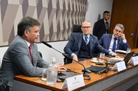 Debate em CPI aponta falhas do Estado no combate ao crime organizado