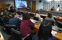 Subcomissão sobre violência doméstica no exterior aprova relatório