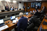 CCJ aprova descriminalização de corte ou poda de árvore em risco de acidente