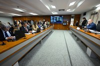 CMA aprova regras para guarda de animal doméstico em caso de separação de casal