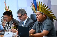 PEC que amplia uso econômico de terras indígenas divide debatedores na CCJ