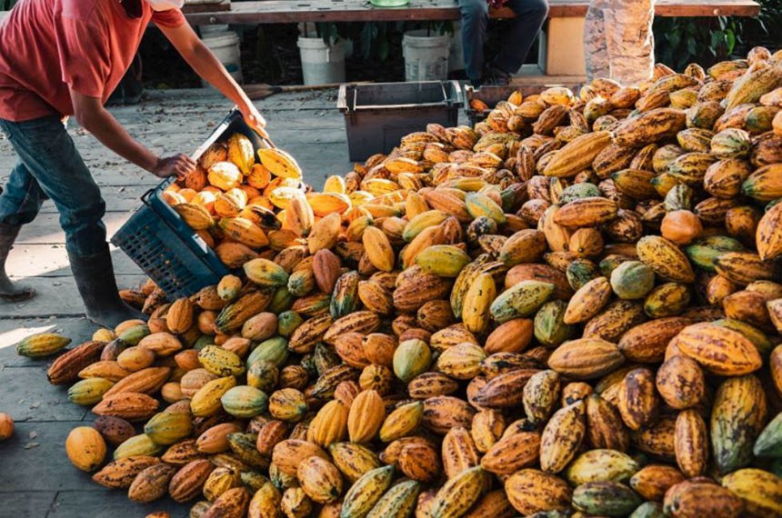 Trabalhador deve ter mais de 18 anos e residir em área de produção artesanal ou ter vínculo com associação, diz o texto - Foto: Seagri-BA