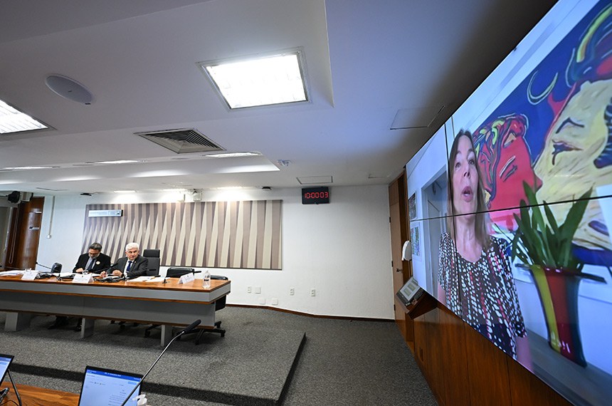 Mesa: 
indicado para o cargo de embaixador do Brasil na República Democrática Socialista do Sri Lanka e, cumulativamente, na República das Maldivas, Jorge Geraldo Kadri;
presidente da CRE, senador Nelsinho Trad (PSD-MS).