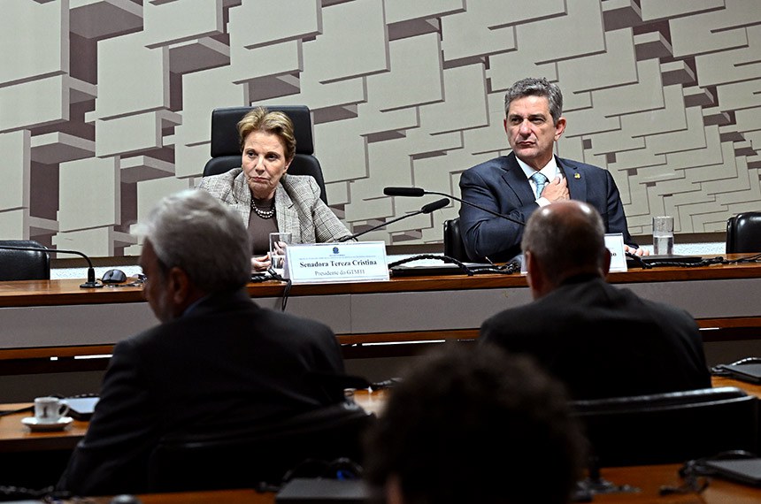Mesa: 
presidente do GTMTI, senadora Tereza Cristina (PP-MS);
relator do GTMTI, senador Rogério Carvalho (PT-SE).