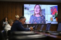 CDH aprova relatório sobre mães acusadas de sequestro internacional