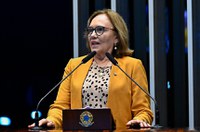 Zenaide celebra exposição 'Olhares desde o Cerrado' da artista Malu Sig