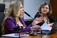 Instalada Comissão Mista de Combate à Violência contra a Mulher