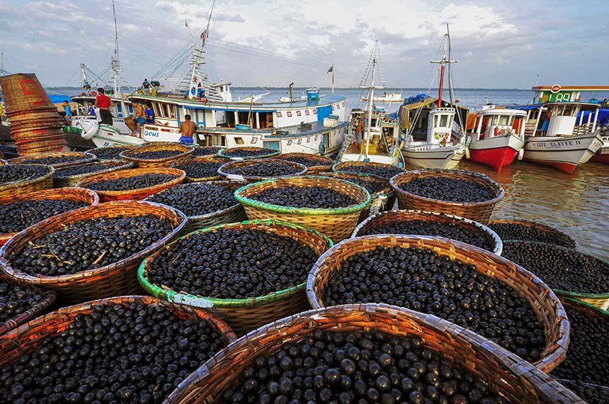 Açaí em Belém-PA