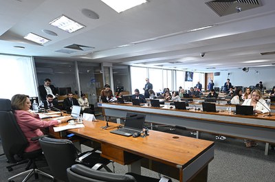 Bancada: 
relatora do PL 3.099/2019, senadora Jussara Lima (PSD-PI) - em pronunciamento.
