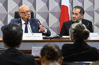 Grupo parlamentar Brasil-Japão fortalece parceria ambiental e tecnológica