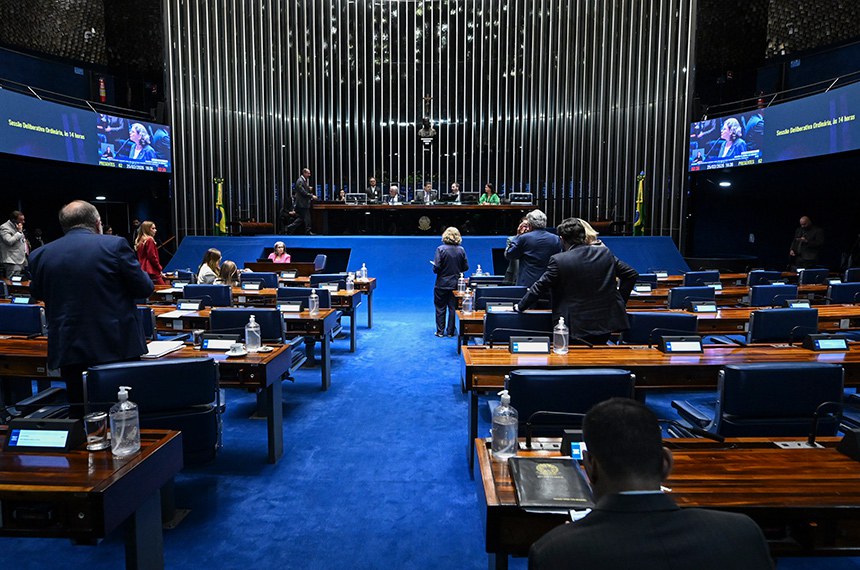 Senadora Teresa Leitão (PT-PE) em pronunciamento à bancada.