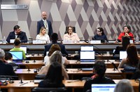 Mesa: 
presidente da Associação MENSA Brasil, Julio Cesar Gonçalves Campos Filho; 
superdotada e mãe de Superdotação no Mapa, advogada de Direito Educacional de alunos com AHSD e 2e, Vanessa Pavanni Mello; 
presidente da CDH, senadora Damares Alves (Republicanos-DF); 
jovem SD/AH, Marjorie Nunes Naves;
coordenadora-geral de Estruturação do Sistema Educacional Inclusivo do Ministério da Educação, Olga Cristina Rocha de Freitas.