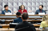 Solução de casos de desaparecimento de crianças requer integração, aponta debate