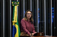 Governo do DF é responsável político por crise no BRB, diz Leila