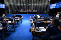 Plenário confirma acordo para conferência sobre espécies migratórias