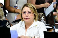 CDH aprova indicação ao Executivo de crédito às microempreendedoras