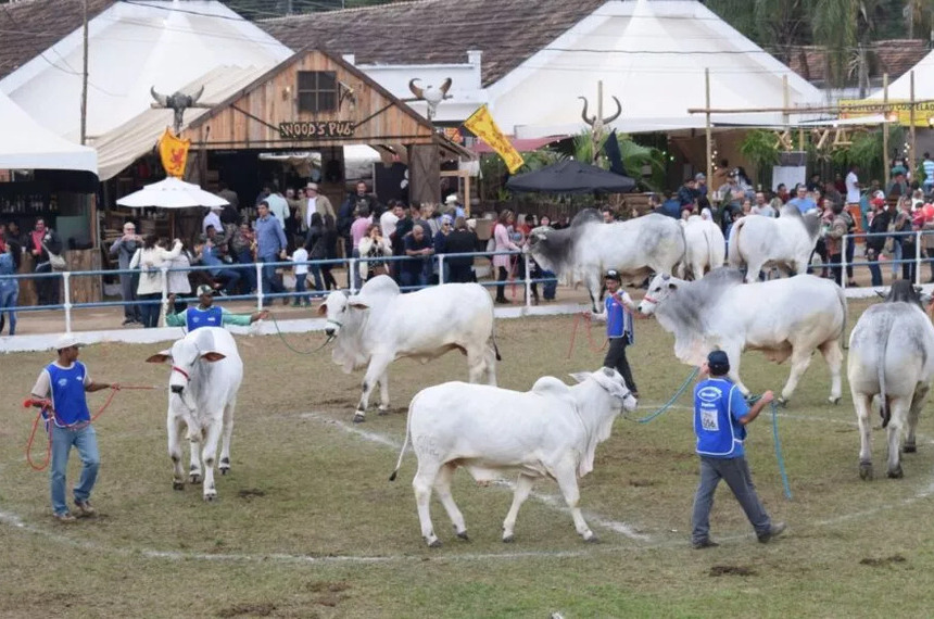 Sancionada lei que reconhece relevância cultural nacional da Expo Cordeiro (RJ) — Senado Notícias