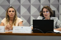 CDH aprova proibição de publicidade em jogos on-line para crianças