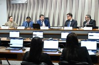 Debatedores pedem controle estatal menor em política de minerais críticos