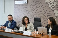 Conselho de Comunicação Social alerta para tentativas de derrubar o ECA Digital