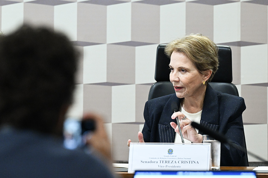 Debate alerta para papel estratégico do Brasil na disputa por minerais críticos — Senado Notícias