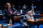 Bancada:
senadora Damares Alves (Republicanos-DF) em pronunciamento; 
senador Izalci Lucas (PL-DF); 
senador Cleitinho (Republicanos-MG).
