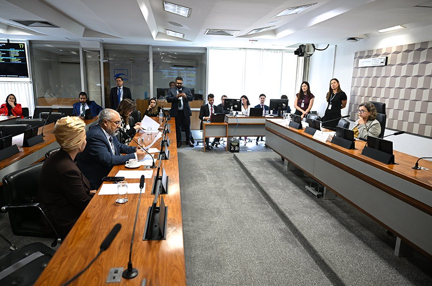 Bancada:
autora do PL 2.379/2023, deputada Dandara (PT-MG); 
relator do PL 2.379/2023, senador Paulo Paim (PT-RS); 
senadora Professora Dorinha Seabra (União-TO).