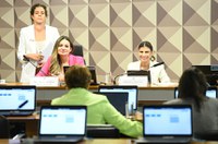 Comissão de Combate à Violência contra a Mulher aprova plano de ações até 2024