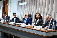 Cenário da aviação civil traz preocupação em debate na CI