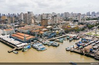 Instalada subcomissão que vai acompanhar preparativos da COP 30
