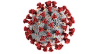Coronavírus: balanço registra mais de 19 mil mortes em todo o mundo