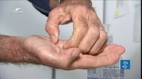 Utilidade pública: veja como lavar as mãos corretamente para se proteger do coronavírus