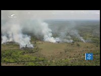 Comissão do Pantanal sugere criação de brigadas de incêndio permanentes e reservatórios de água