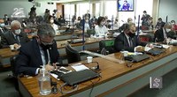 CPI: relator quer entregar parecer em setembro, mas integrantes pedem mais depoimentos