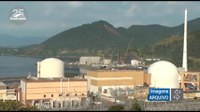 Plano de construção de usina nuclear em Pernambuco é criticada durante reunião na CDH