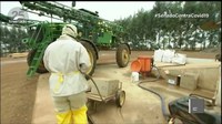 Especialistas defendem redução de insumos importados na agricultura
