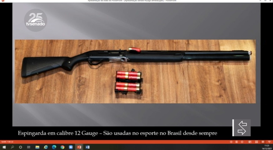 Debatedores divergem sobre projeto que muda regras de posse de armas de  fogo — Senado Notícias