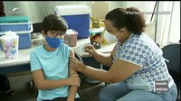 Vacinação de crianças é importante para frear o vírus, ressalta Marcelo Castro