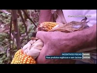 Isenção de impostos para a produção de alimentos orgânicos e produtos sem lactose é aprovada na CRA