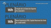 Senadores podem votar nesta quarta proposta para criação da Lei Geral do Esporte