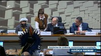 Comissão dos Ianomâmi: indígenas denunciam violência e destruição do meio ambiente